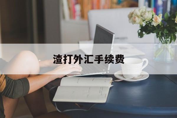 渣打外汇手续费(渣打银行外汇业务)